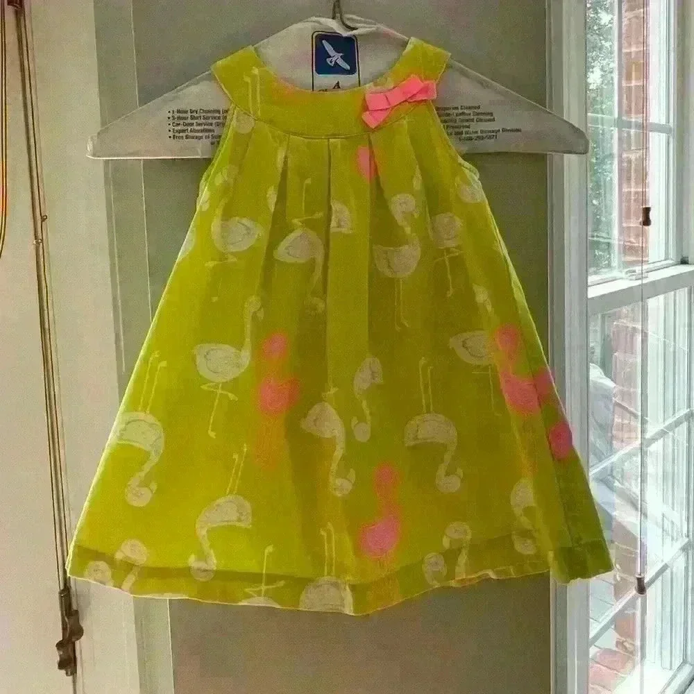 Carter’s Flamingo Dress, 18 months